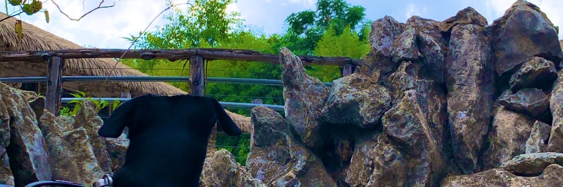 stellhdz_'s profile banner image