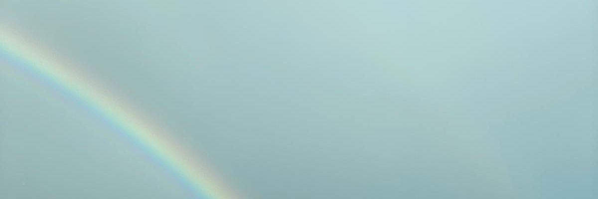 Lisa Keillor 💙 banner