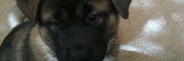 Call_IT_Nick's profile banner image
