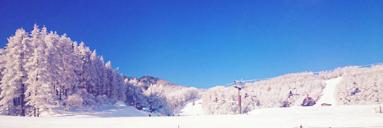 かれー banner