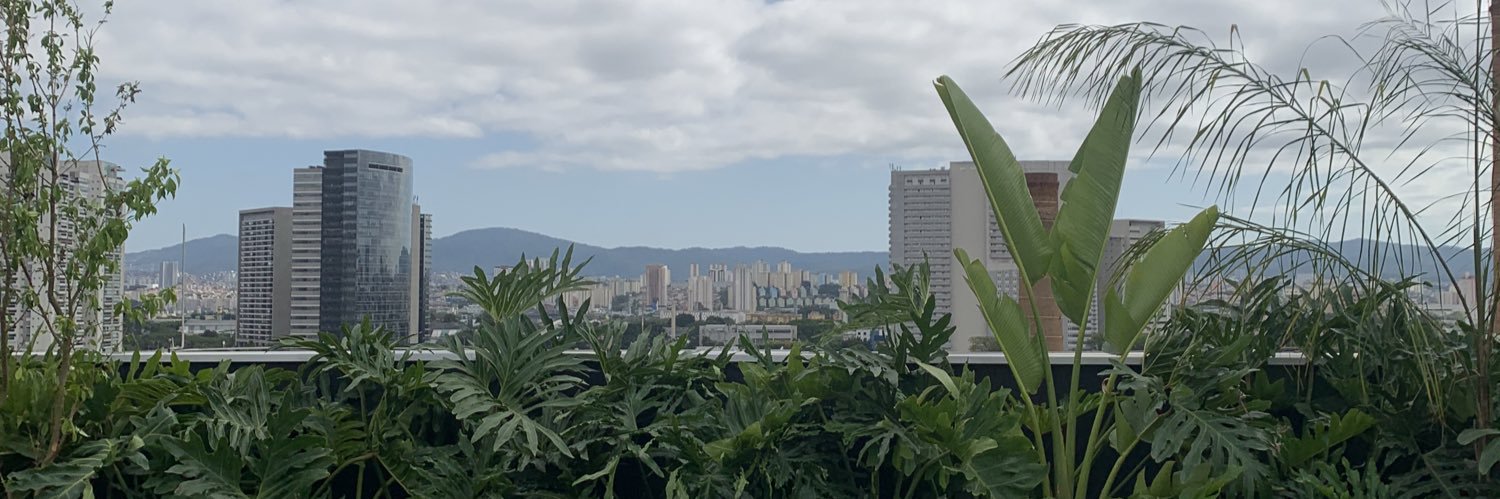 femribeiro's profile banner image