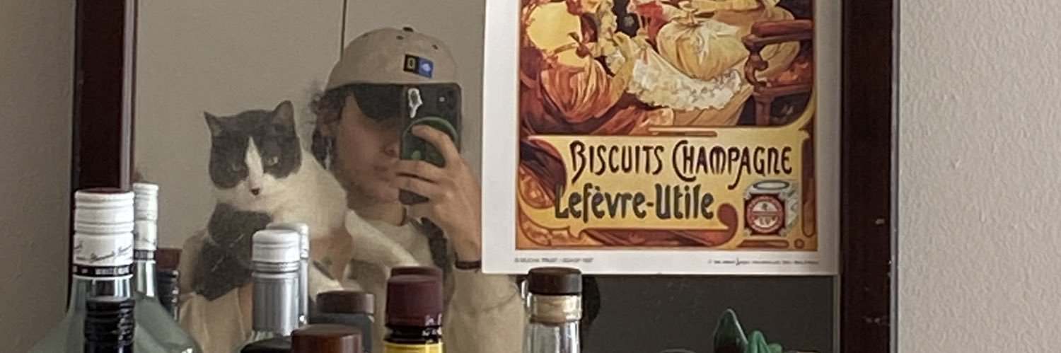 vanesstevam's profile banner image