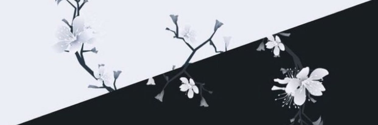 shekyshek's profile banner image