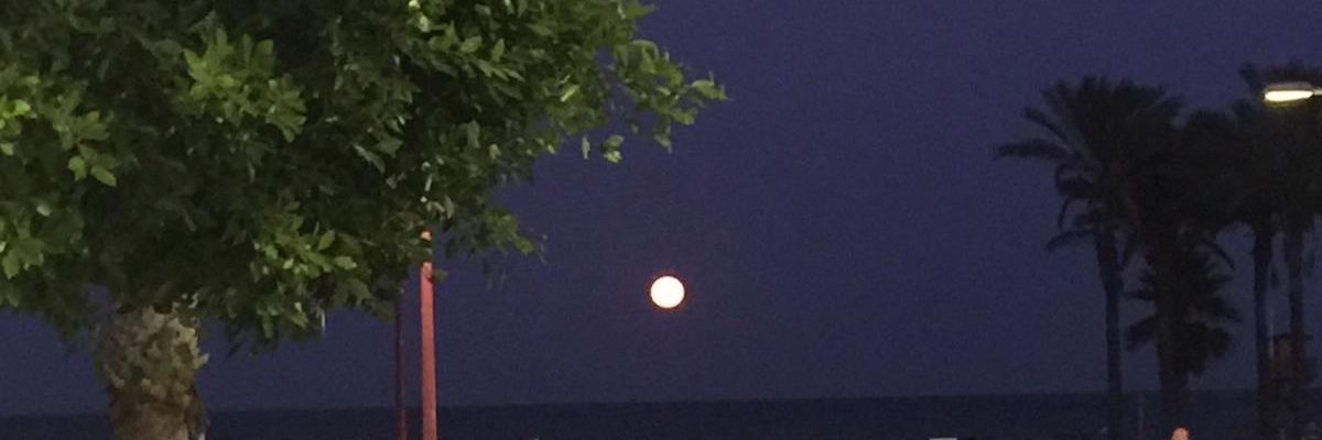 Michael Earnshaw banner