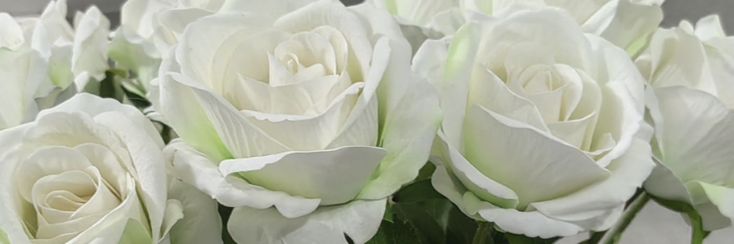 Ms_Lulams's profile banner image
