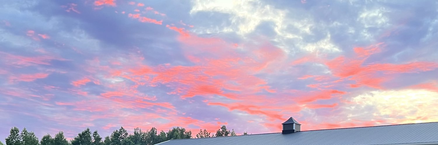 Father Michael banner