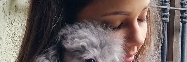 LuluFuster's profile banner image