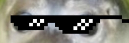 iwantmorebands's profile banner image