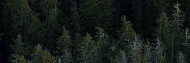 n_circlez's profile banner image