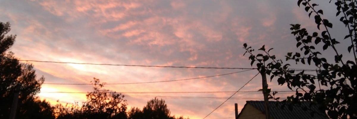 mikel_tx0's profile banner image