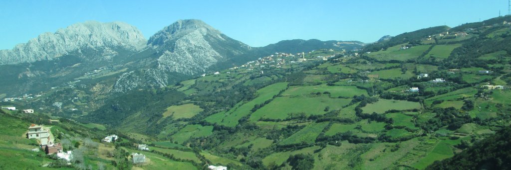 João Duarte banner