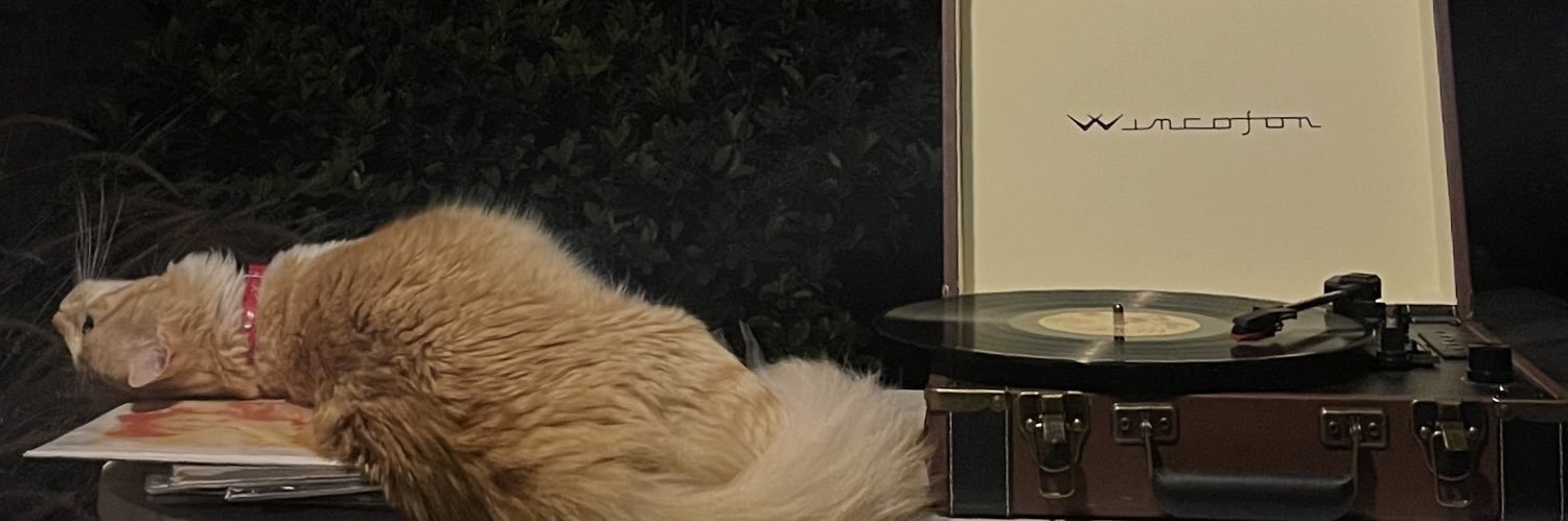 CatalinaRuizGil's profile banner image