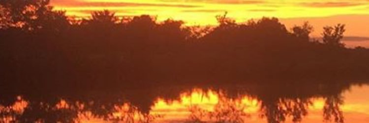 grant_cherry10's profile banner image