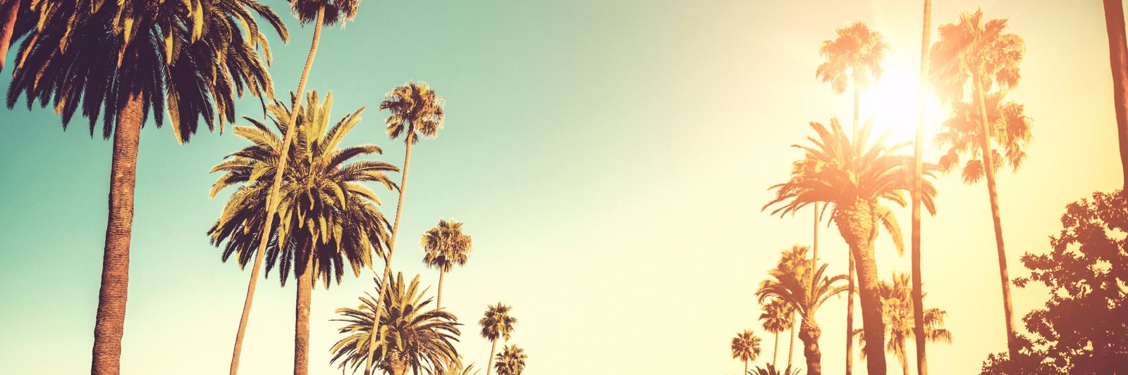 FineArtsLife's profile banner image