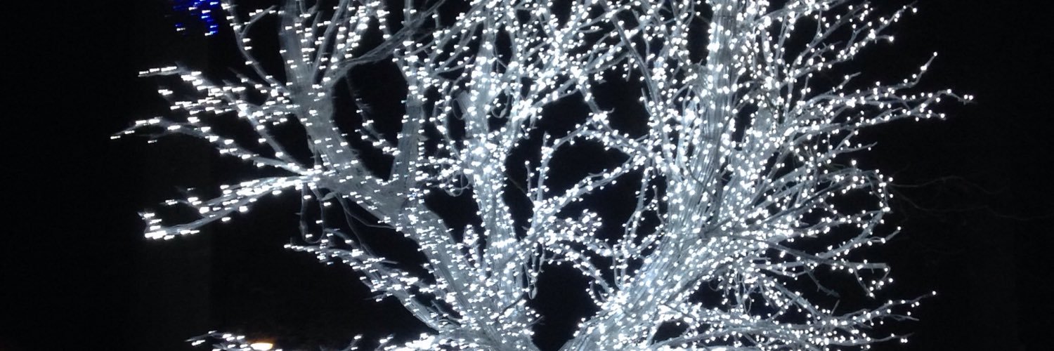 Mandy Scott banner