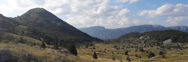 Kum_Ante Profile Banner