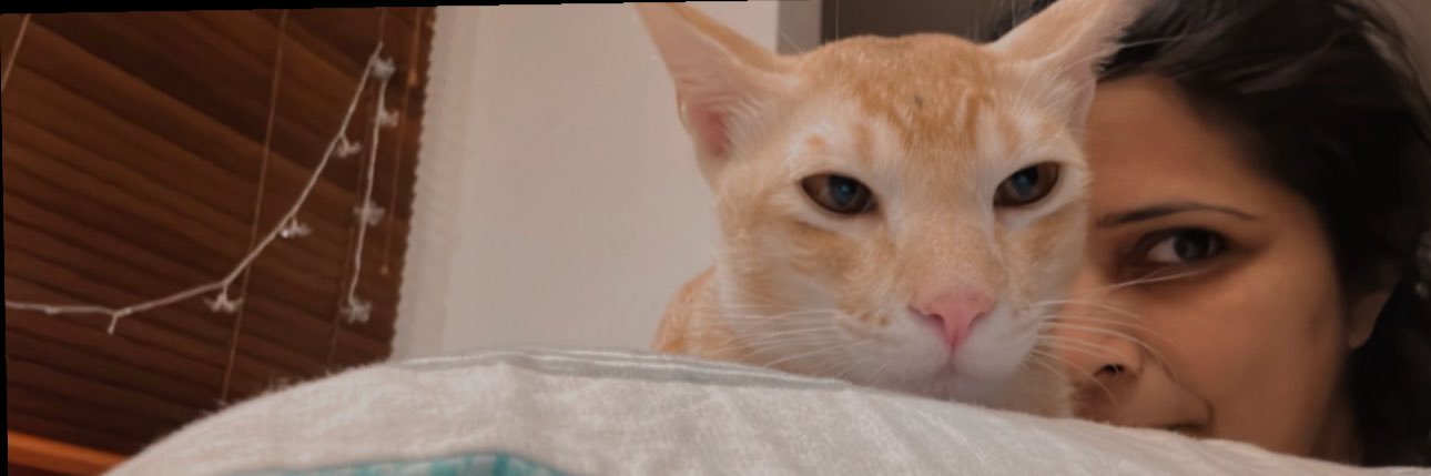 Moonamutheeu's profile banner image