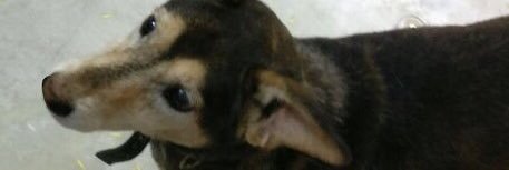 Shilpzsri's profile banner image