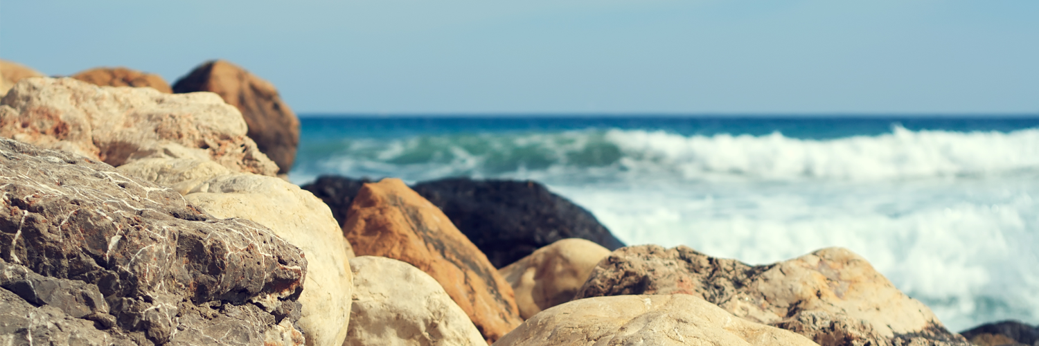 SimWhite banner