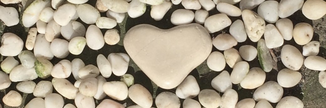 Marina Lambrou 🌱 banner