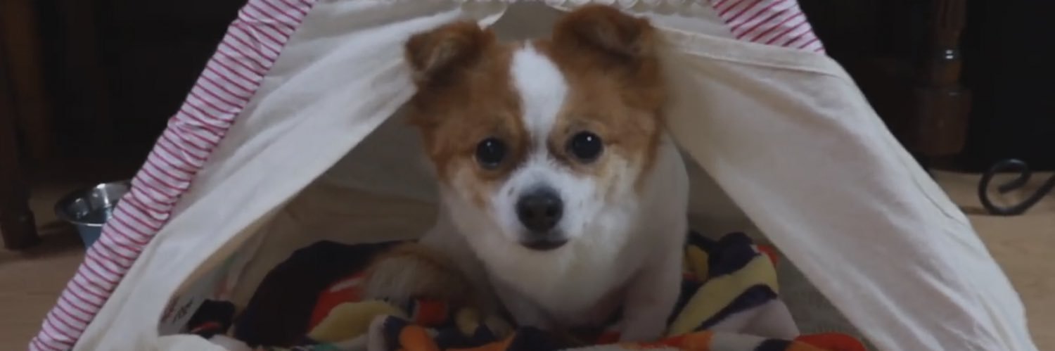 NOM_4050's profile banner image