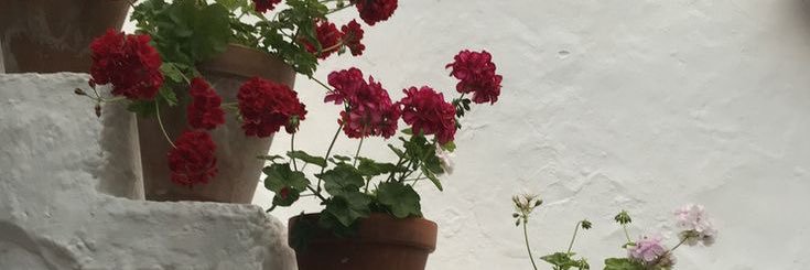 María ۞ banner