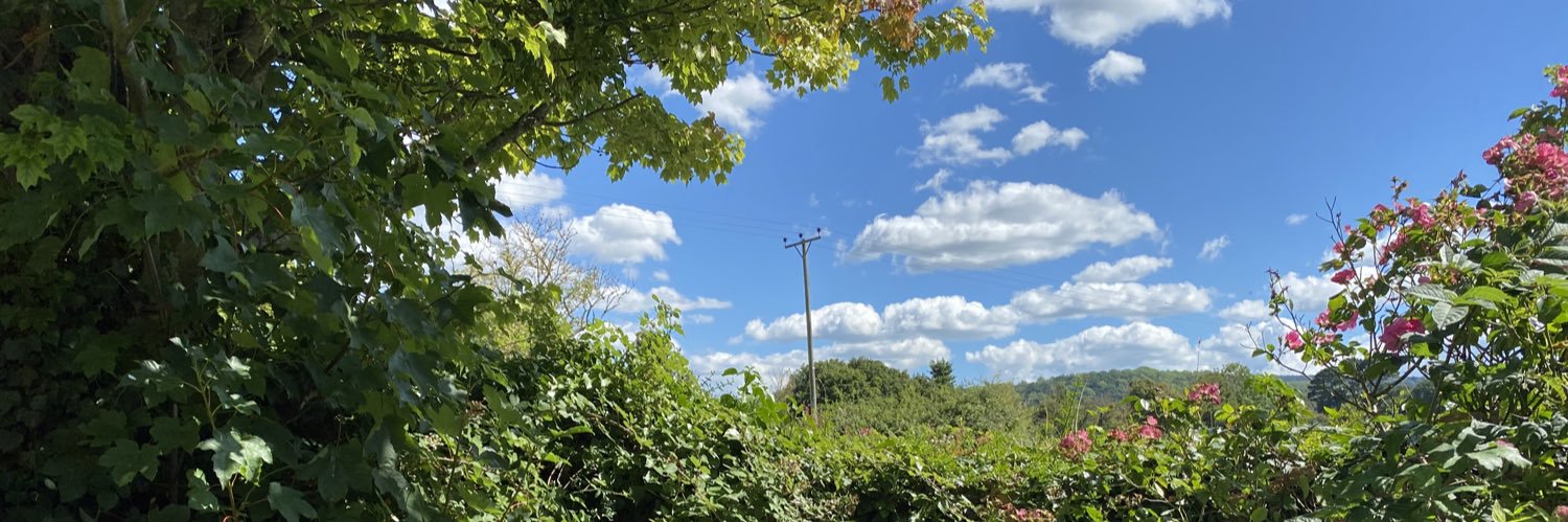 katharine Lewis 💙 banner