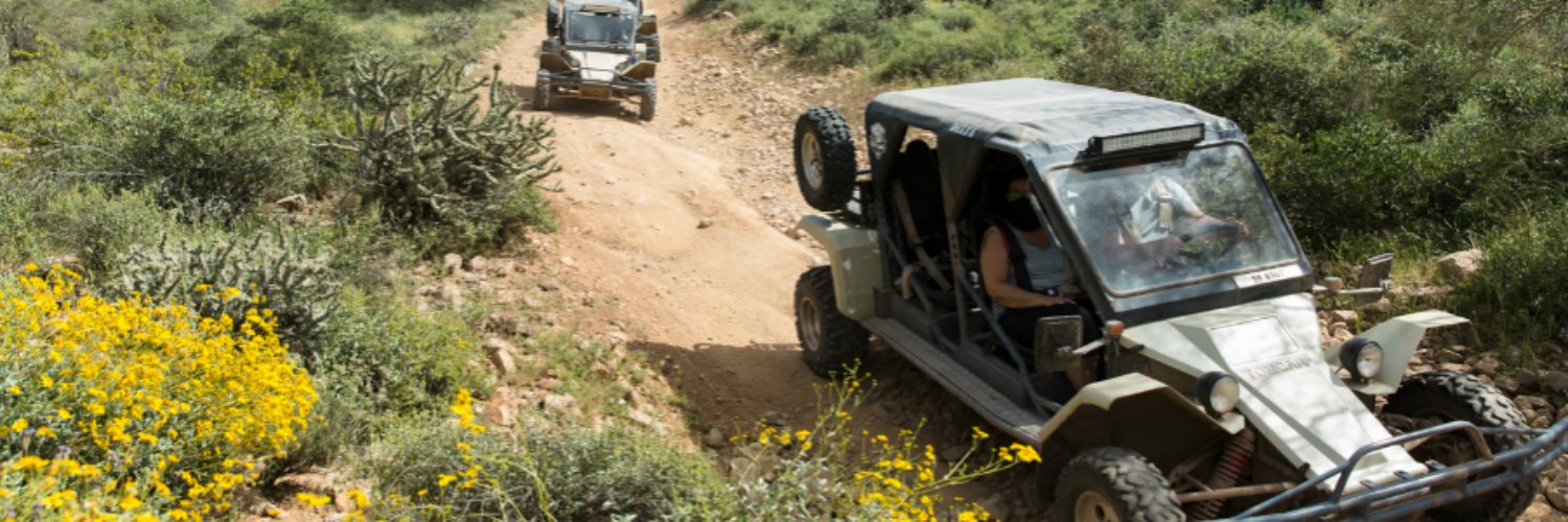 desertwolftours's profile banner image