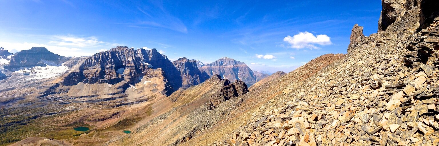 Bruce D. Perry, M.D.,Ph.D. banner