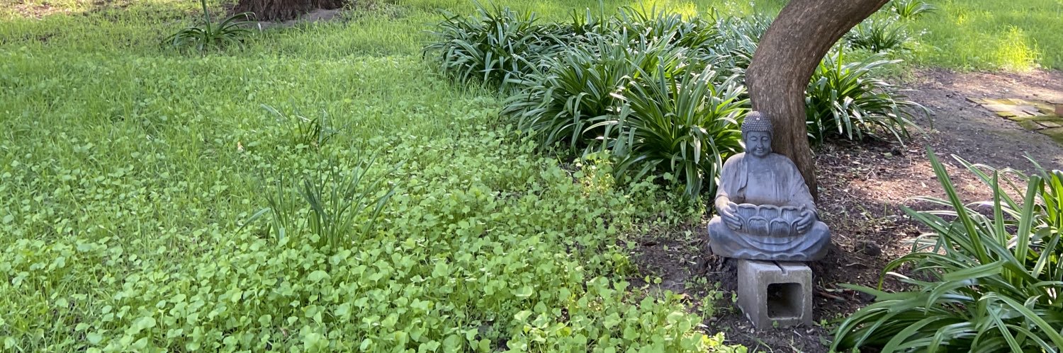 constance kopriva banner