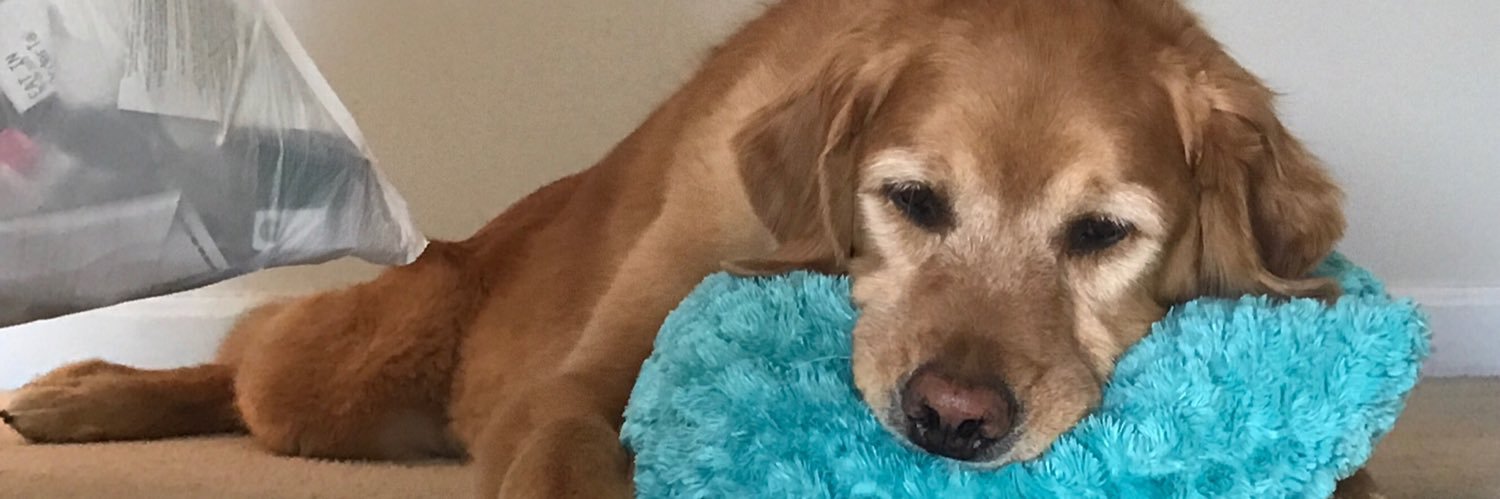 morgan_marm's profile banner image