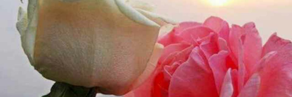 basdfg3467's profile banner image