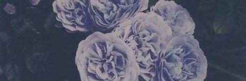ArtemisU_ME's profile banner image