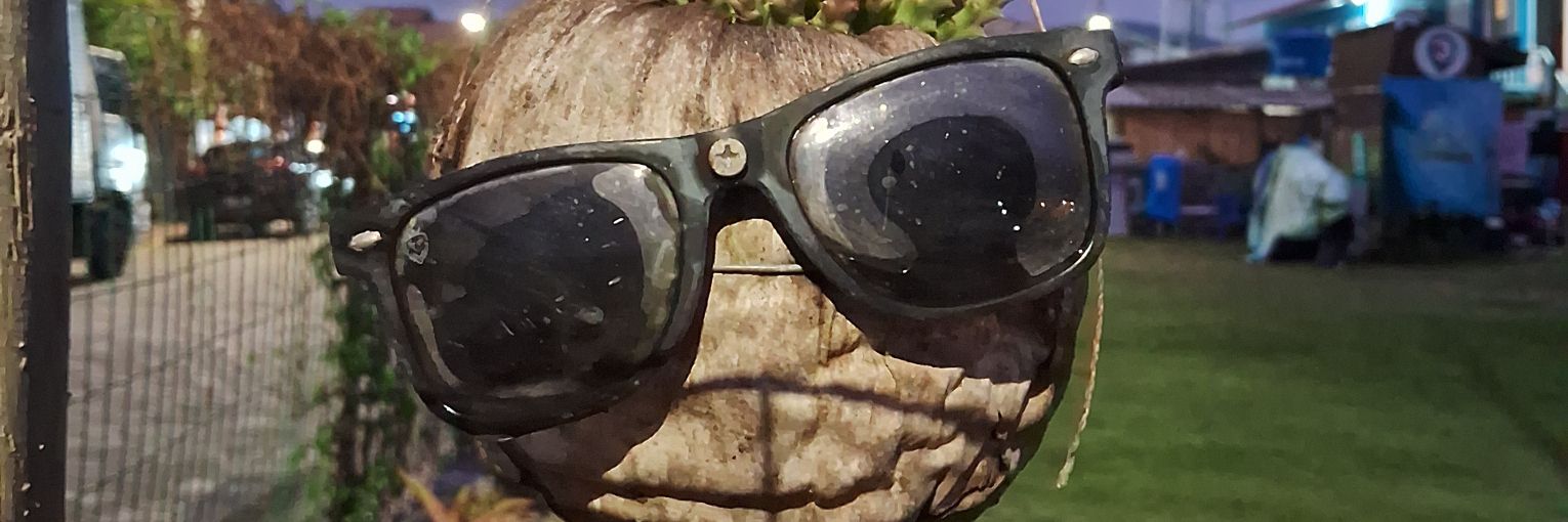 hmmmlice's profile banner image