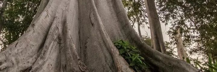 turas_rio's profile banner image