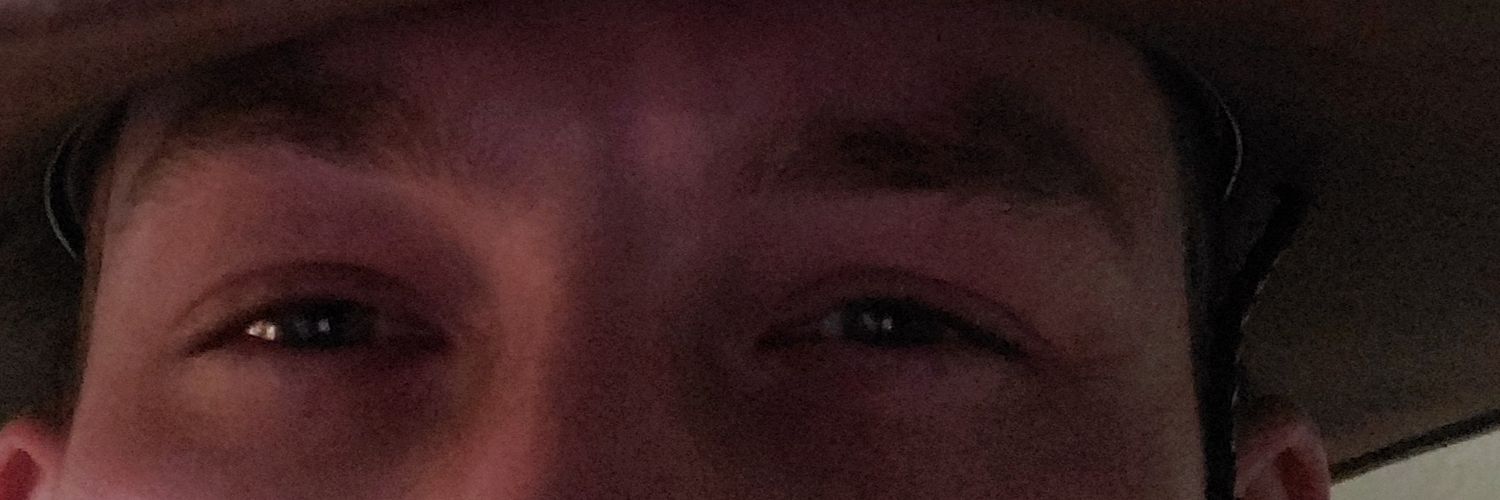 oRakeLeaves's profile banner image