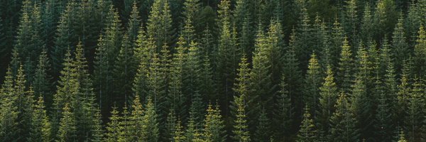 bookercodes Profile Banner