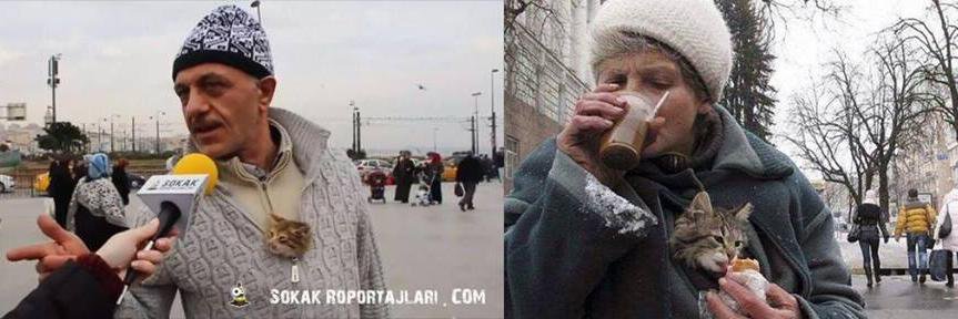 sdztpdr's profile banner image