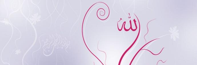addin_ila's profile banner image