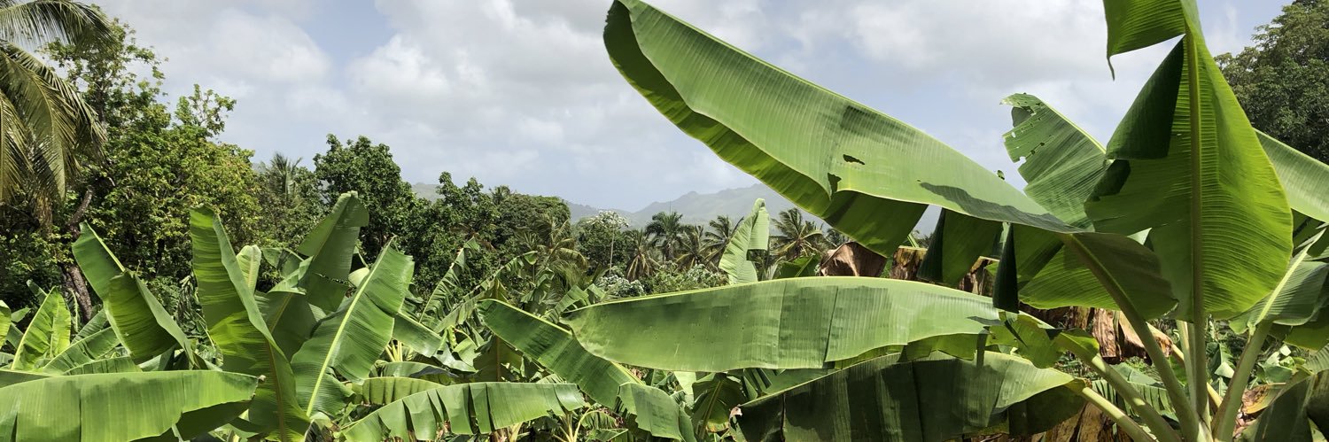 trickikiki's profile banner image