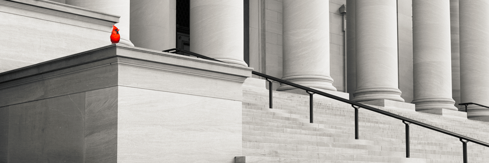 CardinalPolicy's profile banner image