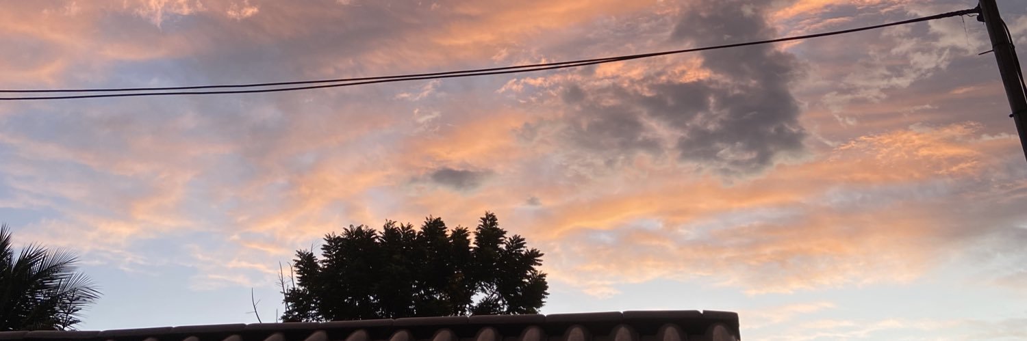 rraquelmp's profile banner image