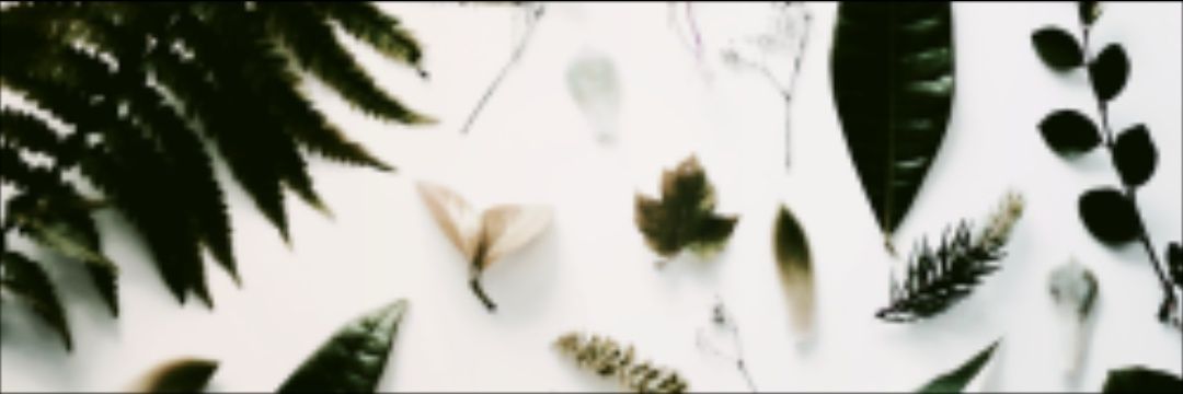 Allgdrslogan's profile banner image