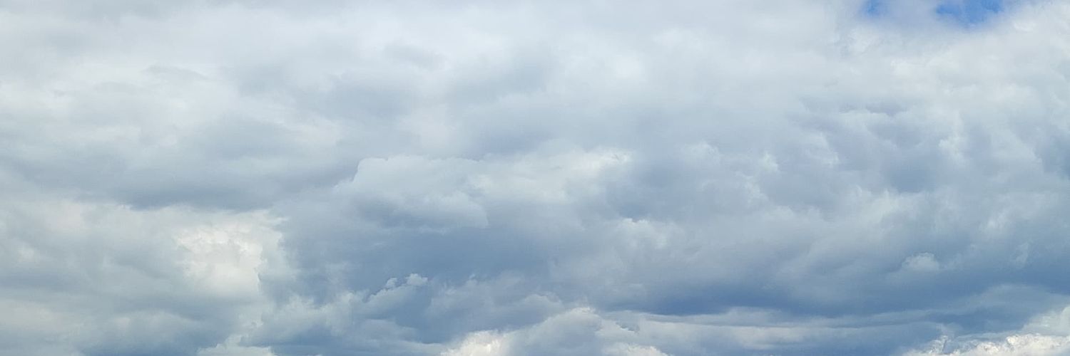 gozddea's profile banner image
