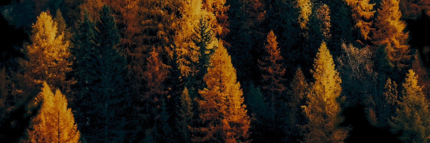 andrejoau's profile banner image