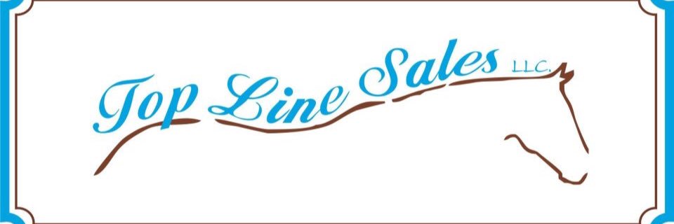 Top Line Sales banner