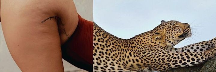 Brunaruhtra's profile banner image