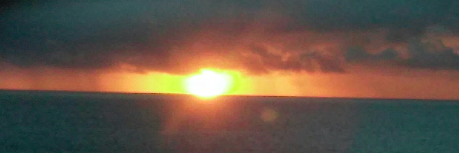 TCastilonia's profile banner image
