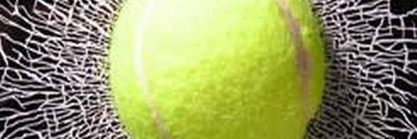 Maria_AndyFan's profile banner image