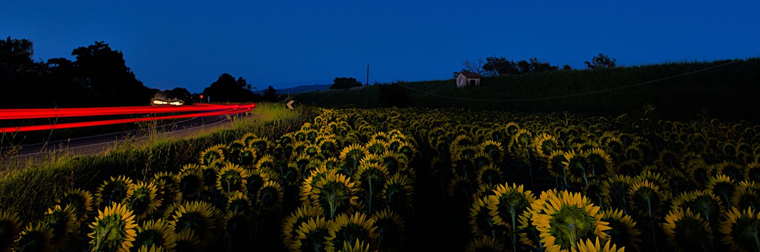 FrancescoViaggi's profile banner image